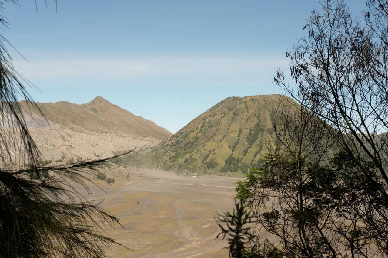 Mentigen Homestay Ngadisari 外观 照片