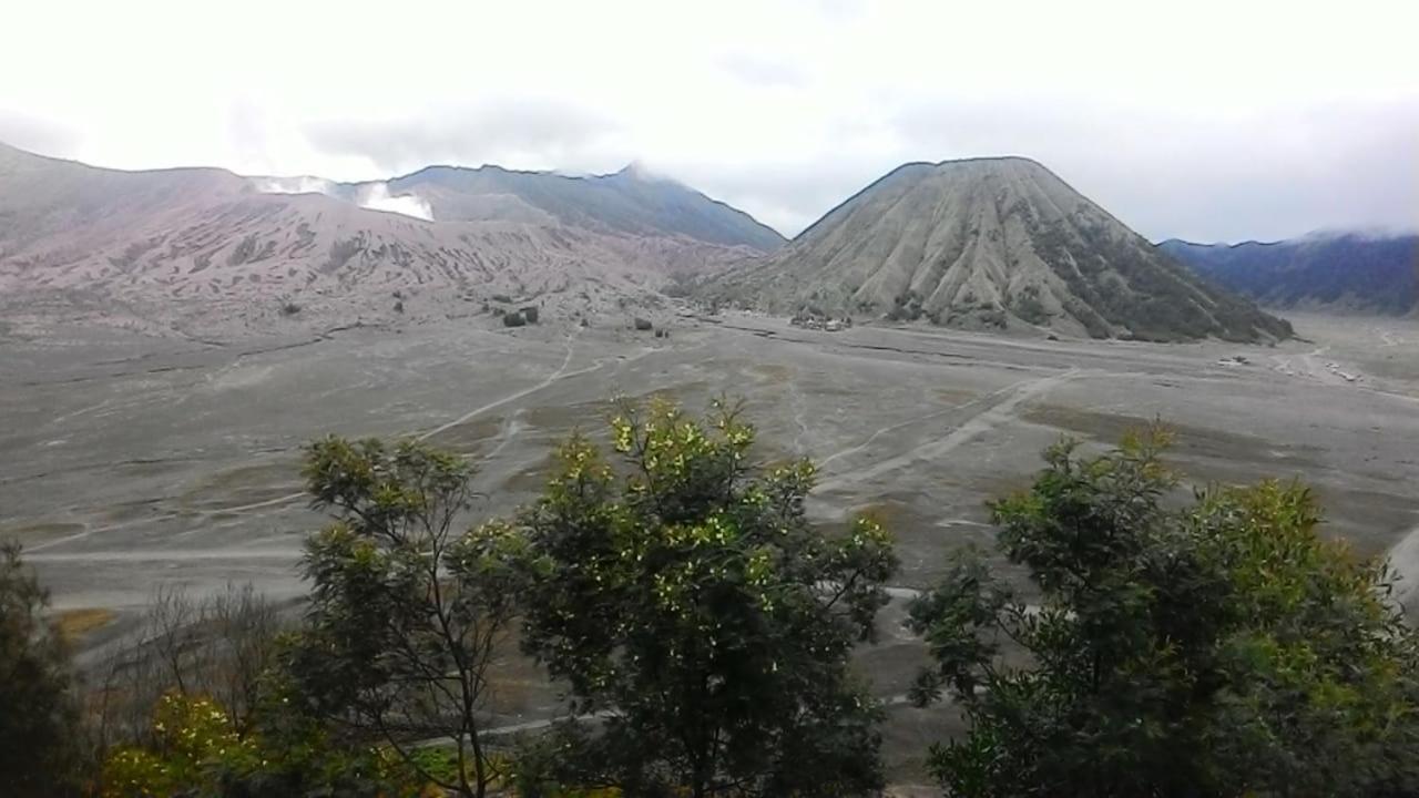 Mentigen Homestay Ngadisari 外观 照片