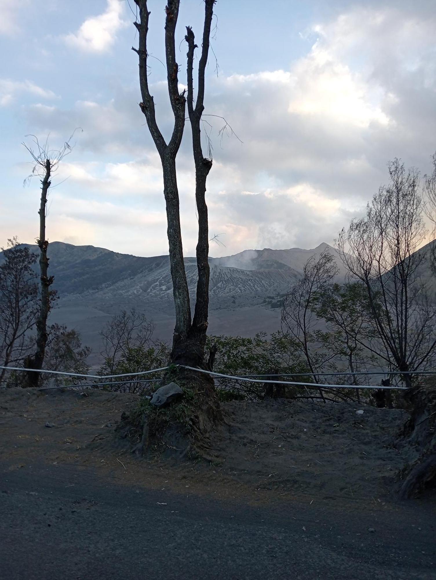 Mentigen Homestay Ngadisari 外观 照片