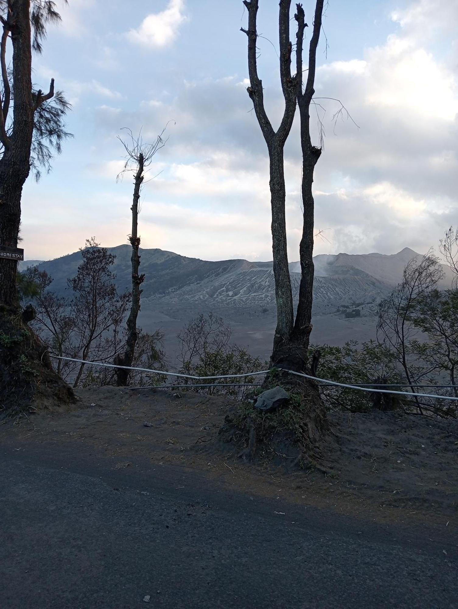 Mentigen Homestay Ngadisari 客房 照片